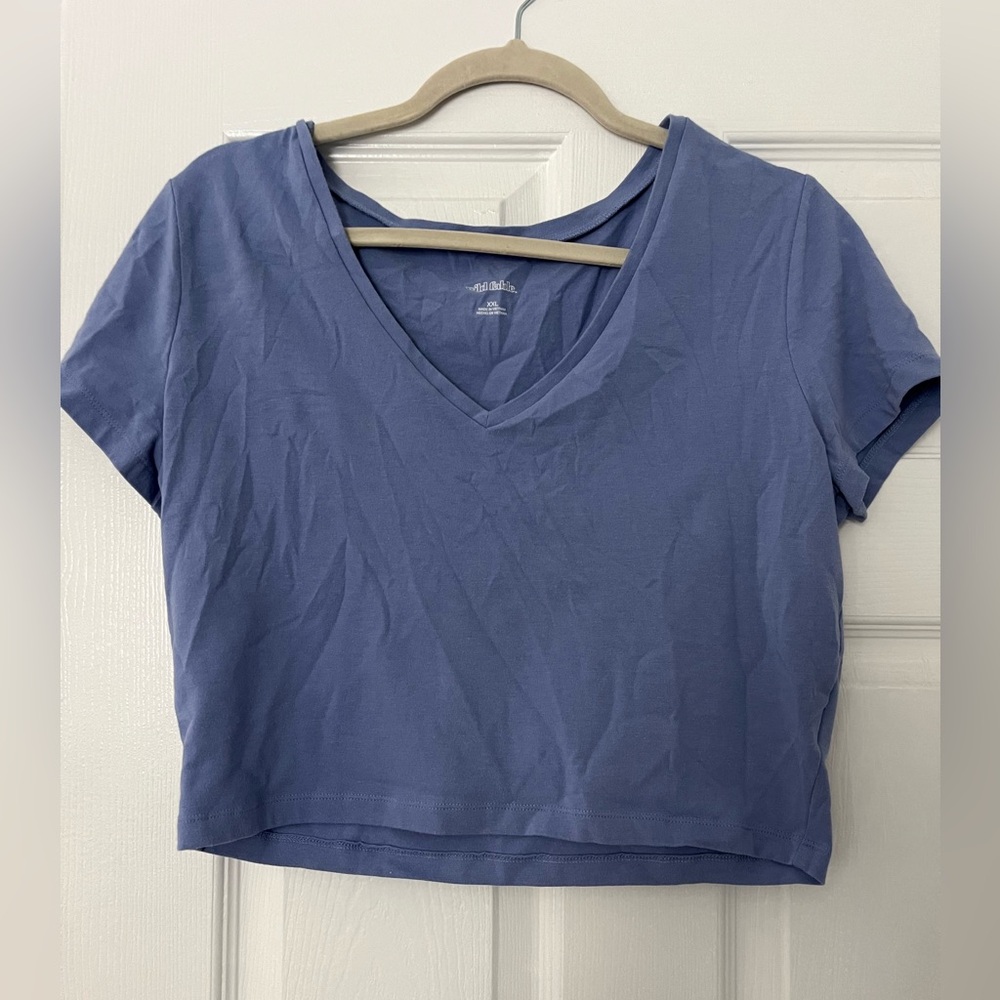 Wild Fable Cropped Tee